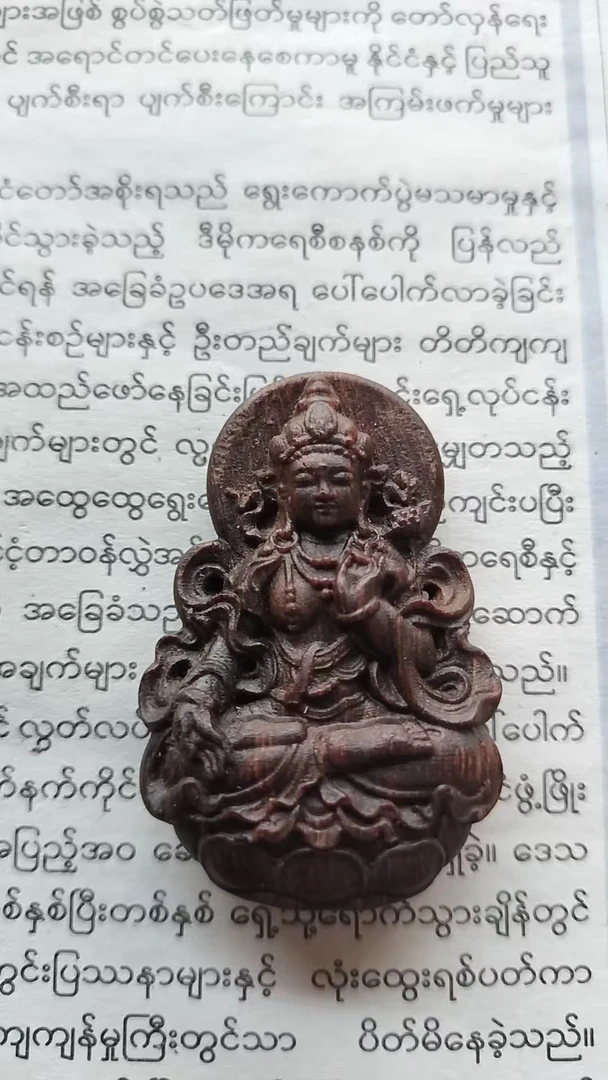 [石氏】ST123-L190高端沉香木吊坠-多样性发货