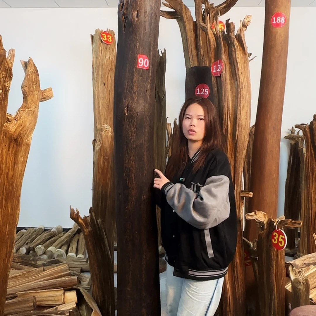 沉香木摆件天然沉香原木摆件➕底座