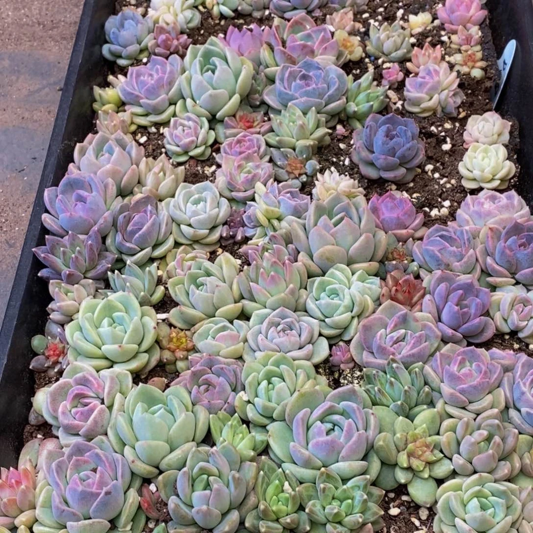 溯212的人在一起的时候就这样