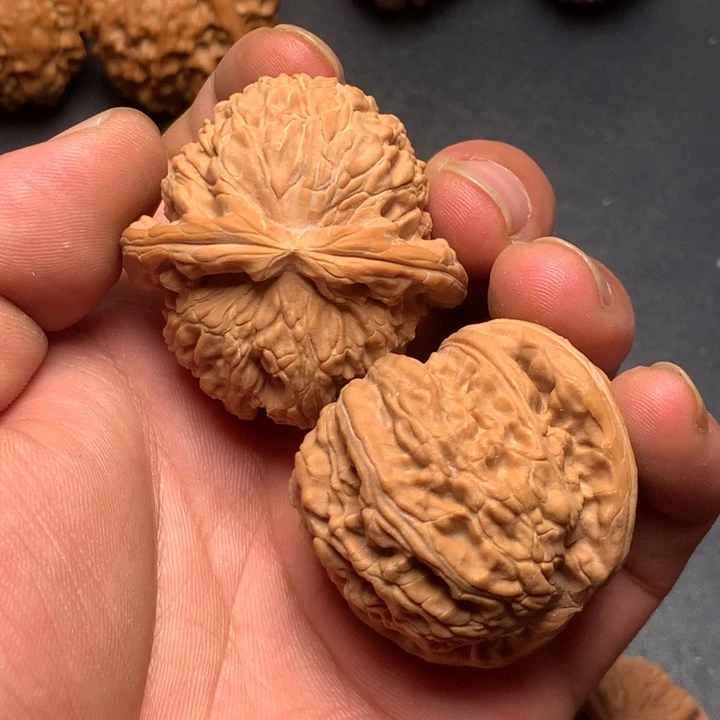 文玩核桃把件42白狮子36