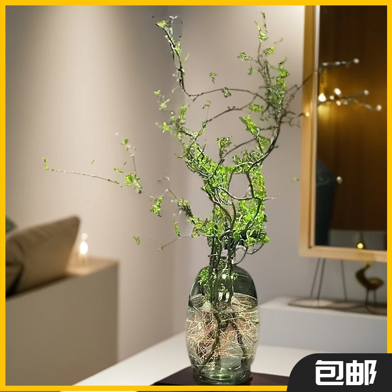 龙柳鲜枝客厅插花落地水养桌摆植物水培易活观叶水培绿植懒人绿植