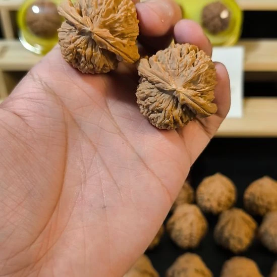 吊坠文玩核桃41白狮子有黄印