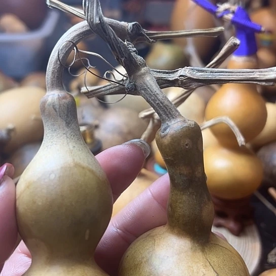 立*葫芦葫芦葫芦葫芦