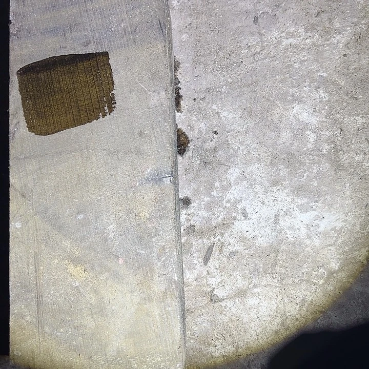 金丝楠啊啊啊啊啊啊