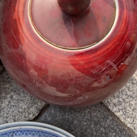 芸**舍z c z c z c x c x