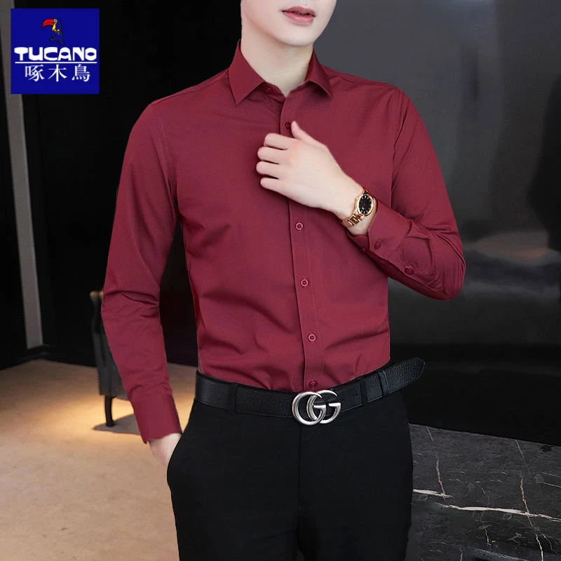 啄木鸟春秋抗皱免烫弹力衬衫男士长袖薄款潮帅气休闲修身百搭衬衣