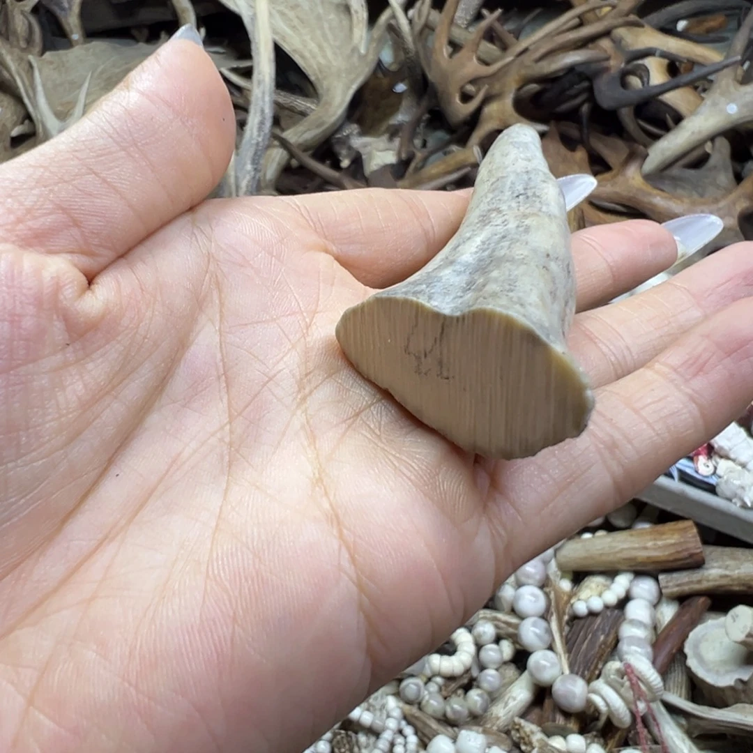 鹿骨手串/手链鹿角23号