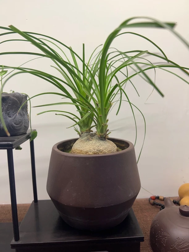 灵璧石厅堂案头摆件