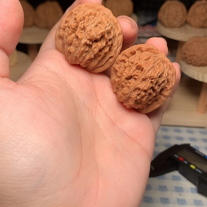 全品37尺寸四座楼