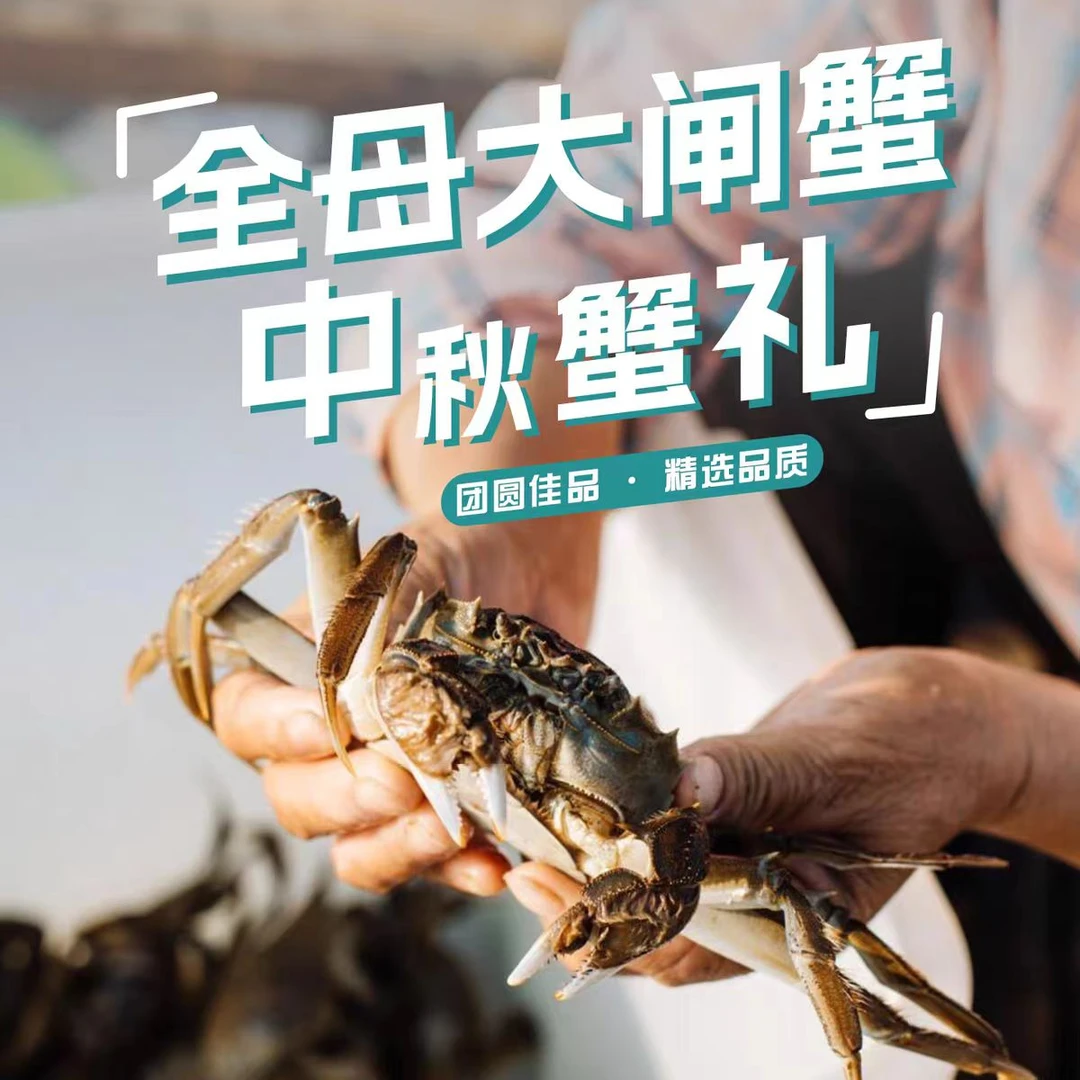 焦岗湖湖韵活蟹【10只】全母蟹2两顺丰京东冷链礼盒装