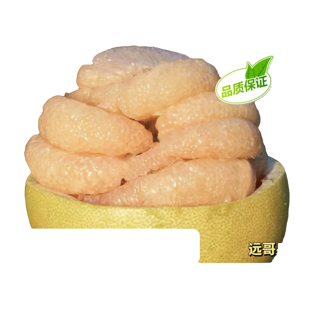 福建仙游度尾文旦柚红心新鲜应季酸甜多汁水果（小果）《皮厚的柚子》