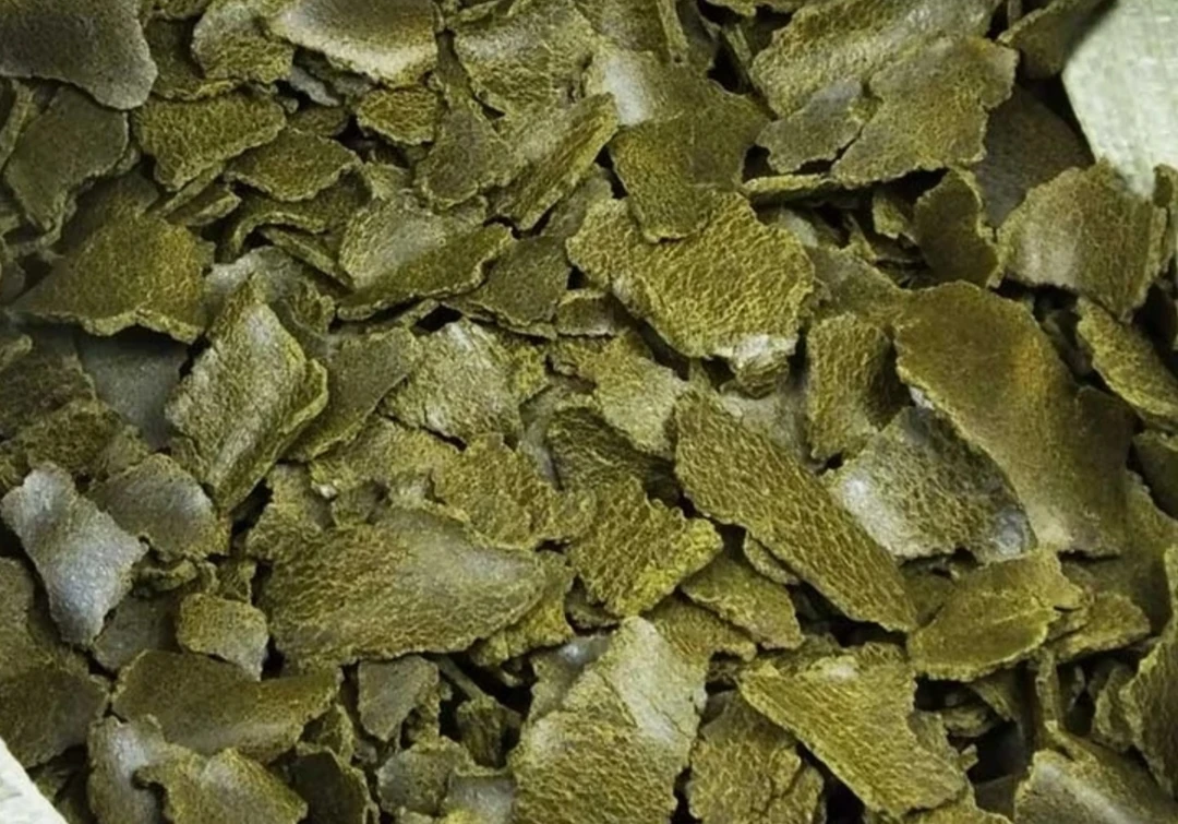 菜籽饼油渣作农家肥料可用于种菜种花还能当钓鱼打窝料