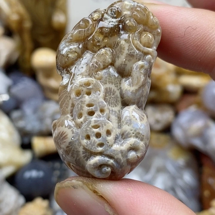 颈饰未镶嵌硅化珊瑚（珊瑚玉）有瑕