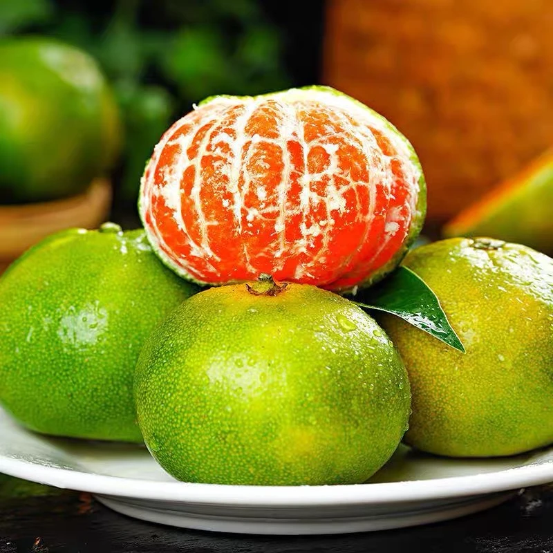 湖北蜜桔青黄皮橘子无籽现摘当季水果酸甜多汁薄皮孕妇水果当季果