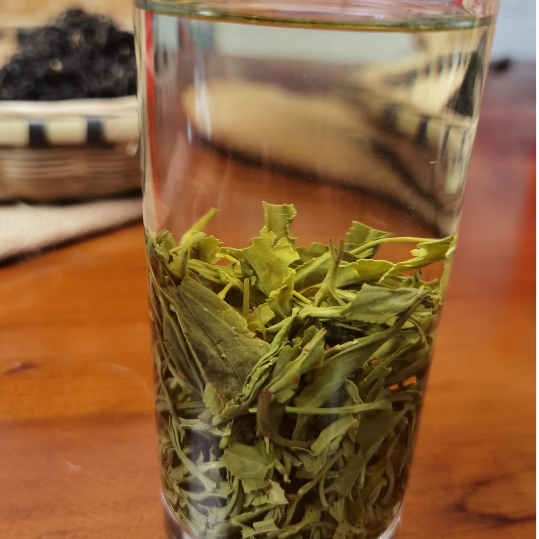 【贵茶妹专属1号】都匀毛尖老树绿茶贵州茶叶高山种植2025新茶
