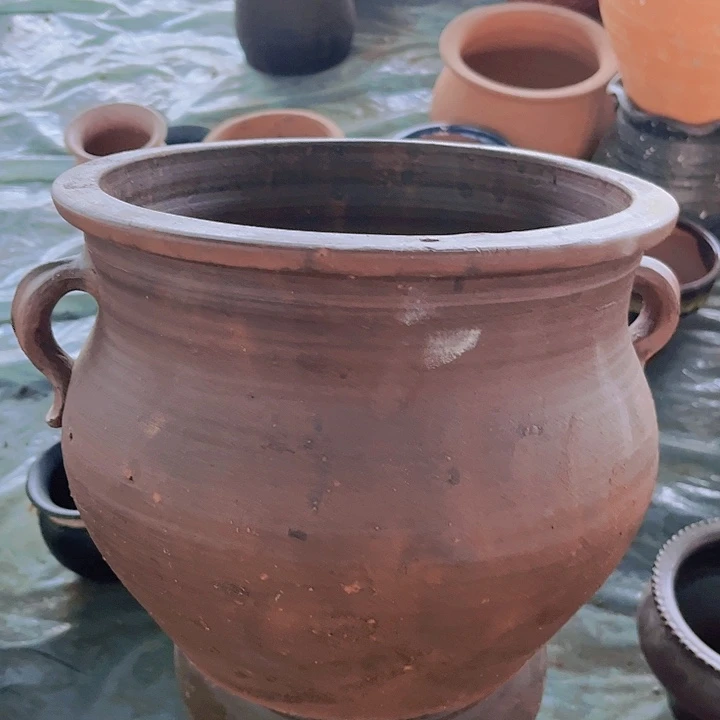 红陶210号21×25咖瑕