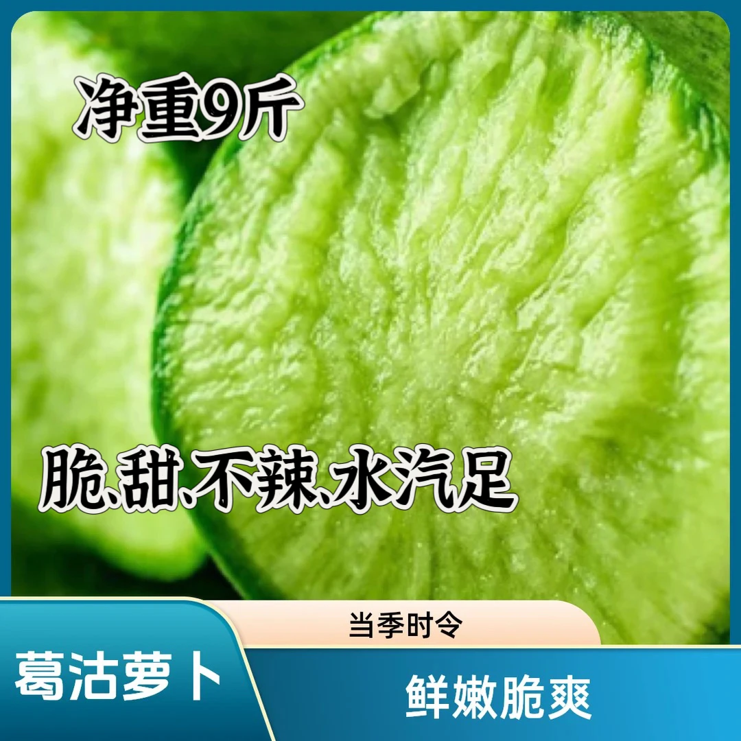 葛沽萝卜农家籽脆甜不辣不艮（和沙窝萝卜齐名）装箱甩下的