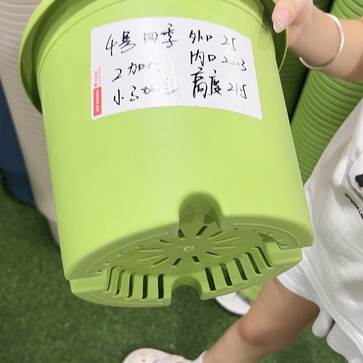 特价4号四季口25高21.5果绿无托8只