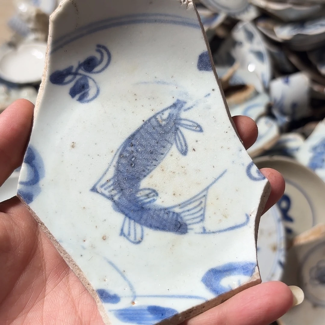 @***杰瓷片瓷片标本，顺丰包邮