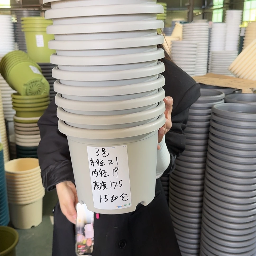 四季3#无拖灰白10个