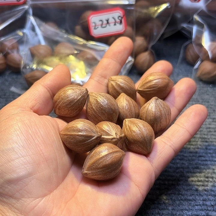 ᴙ***手串橄榄核2.2❌2.8四花