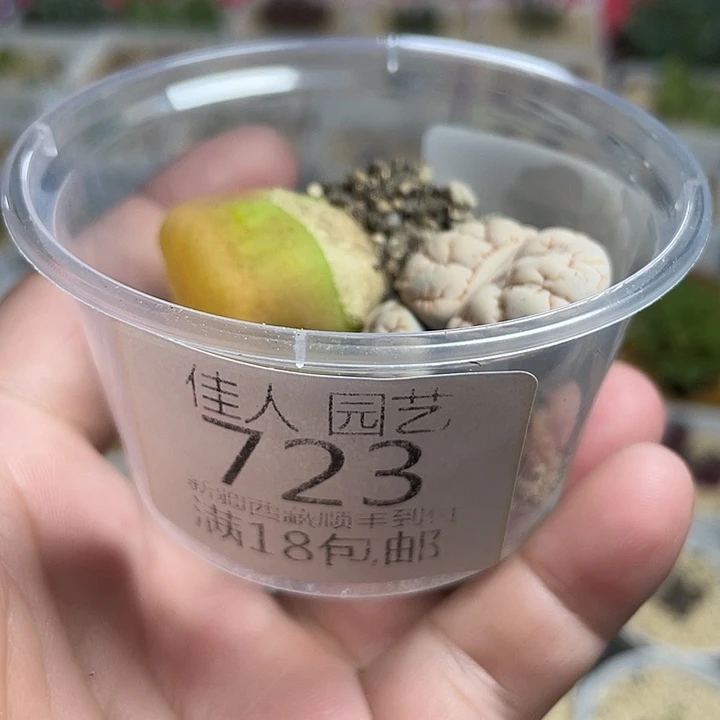 佳人园艺博览会723