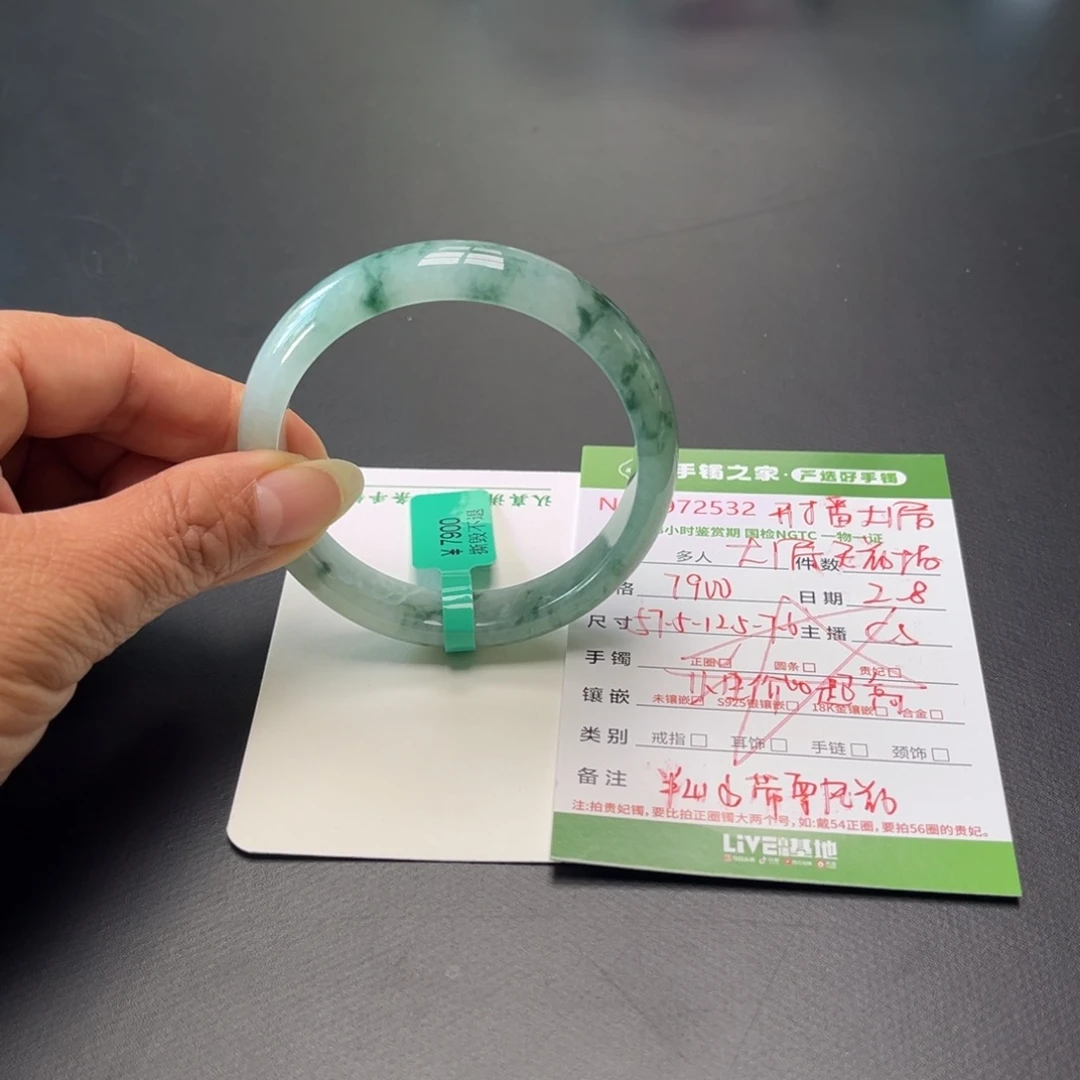 翡翠手镯未镶嵌东****馆多人