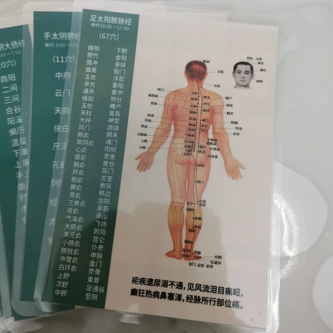 中医针灸穴位卡片自学针灸好帮手快速掌握针灸穴位14张覆膜10*14
