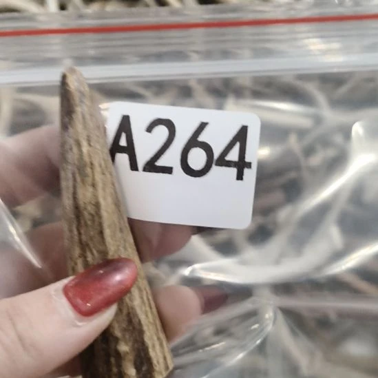 『***』鹿角鹿角鹿角鹿角鹿角