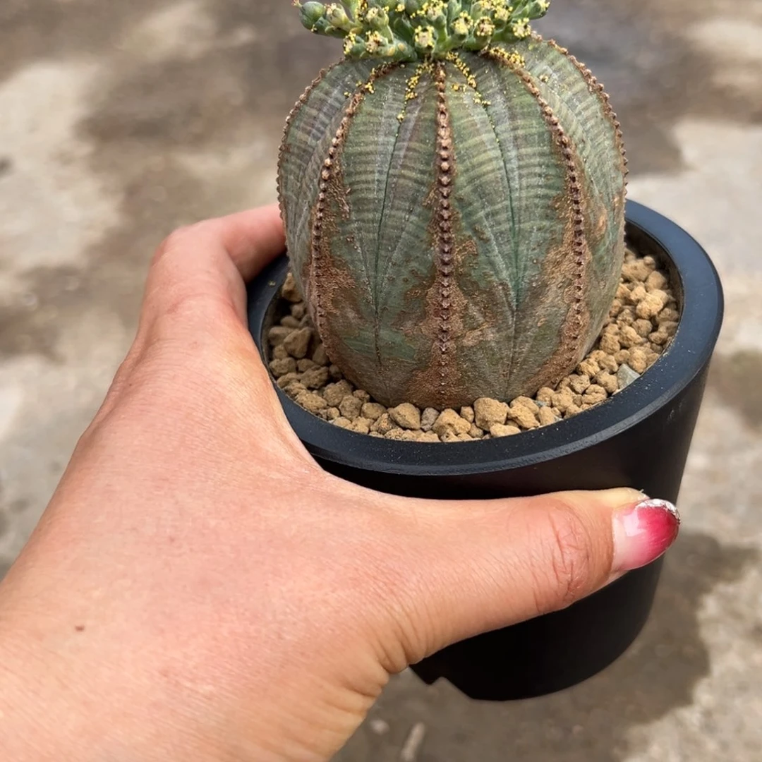 y*布纹wwwwwwwwwwwwwwwww