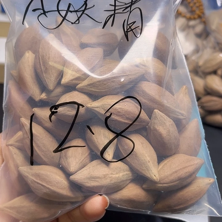A***巴橄榄核手串/手链112
