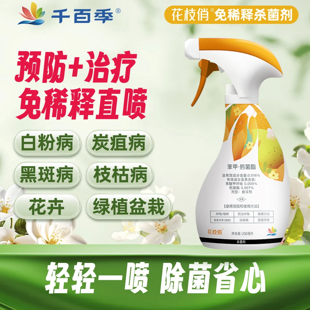 千百季花枝俏免稀释直喷家庭园艺月季白粉黑斑防治喷雾（推）