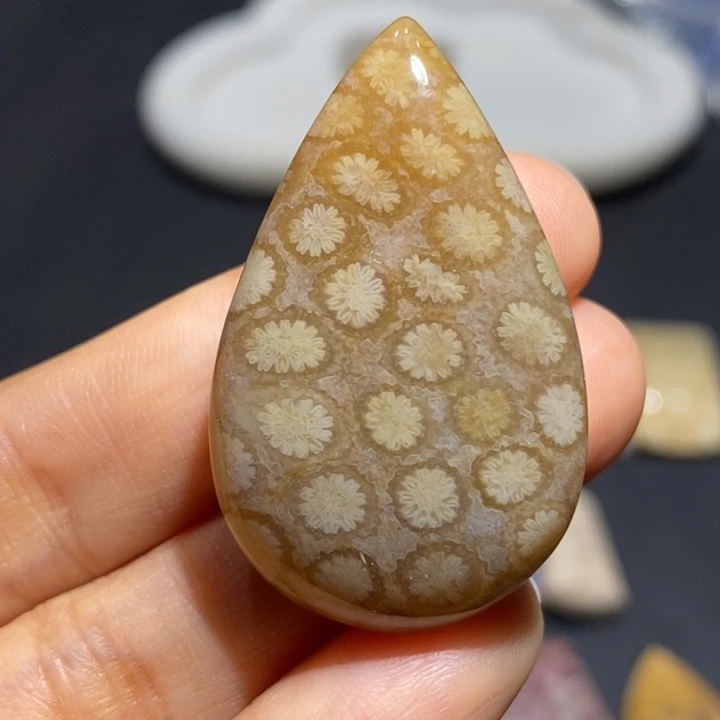 【闪购商品】未镶嵌珊瑚玉硅化玉