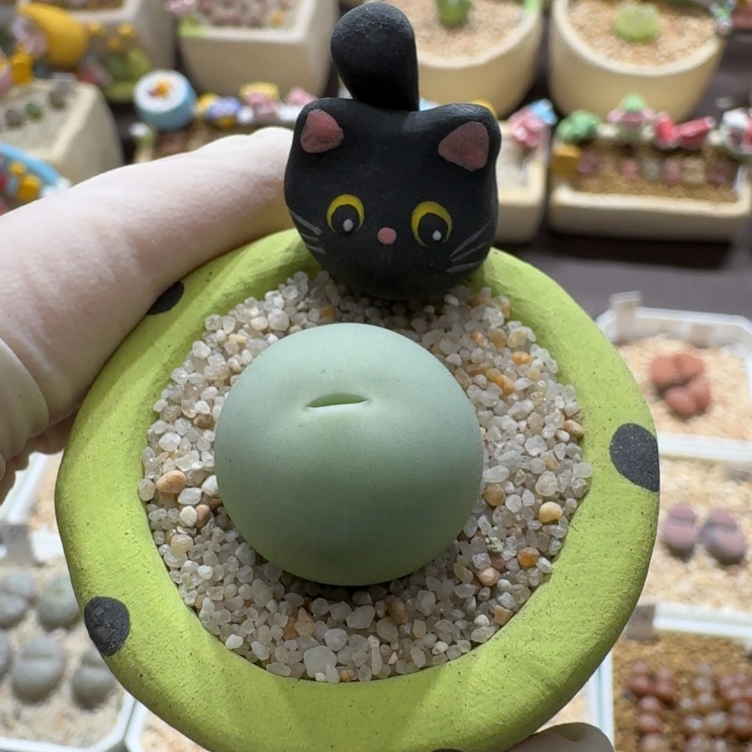 0922-039连盆带花鸽子蛋