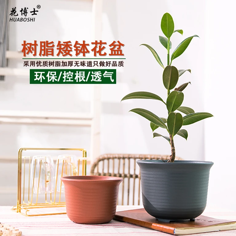 225#懒人自吸水矮钵(外口径22.3cm高16.6cm)花盆高端绿萝多肉月季