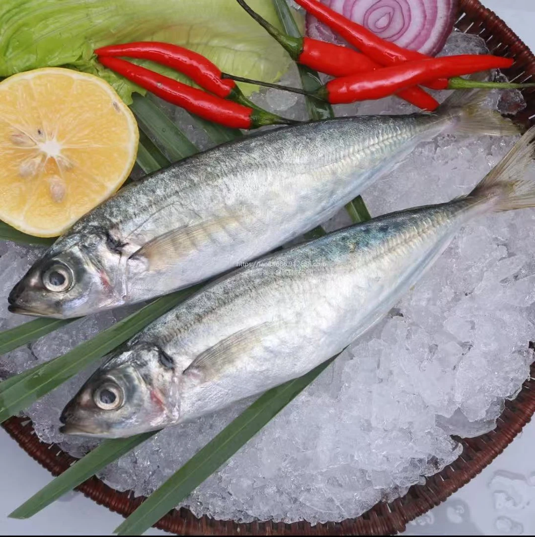 巴浪鱼【直播现称】现称鱼/虾/蟹 等海鲜易直播间称重商品为准