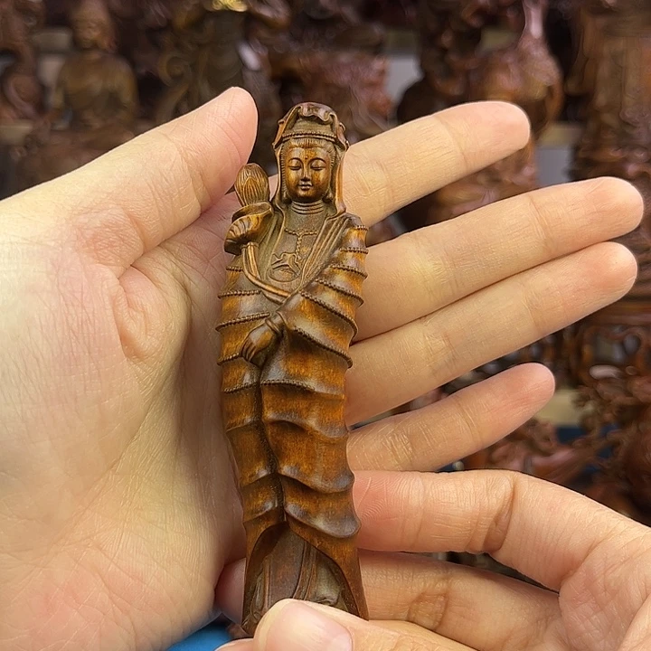 黄杨木小叶黄杨木