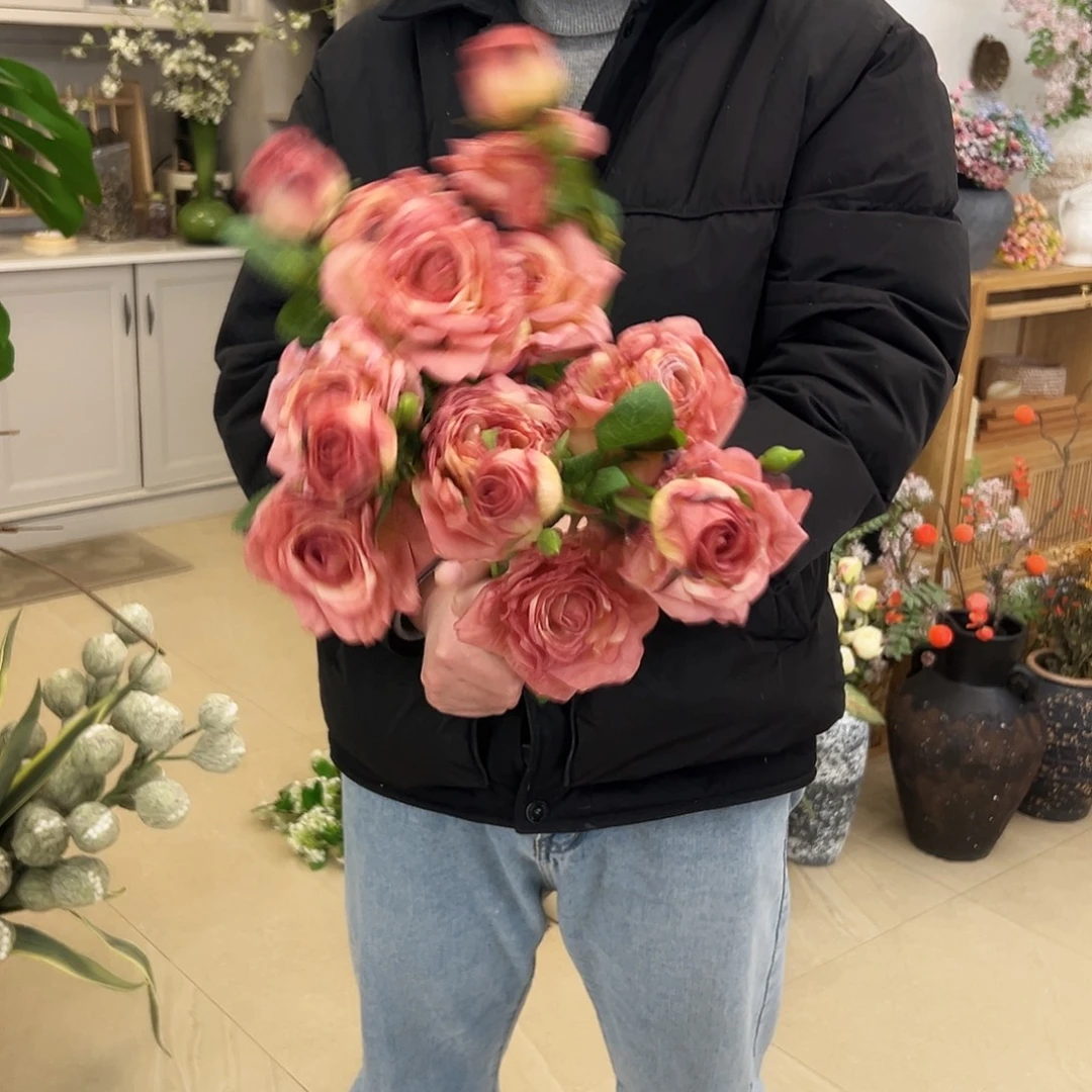 抖音直播福利五只