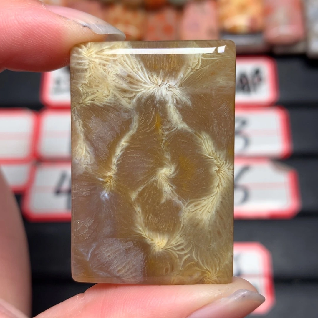 【闪购商品】未镶嵌颈饰硅化玉痴*