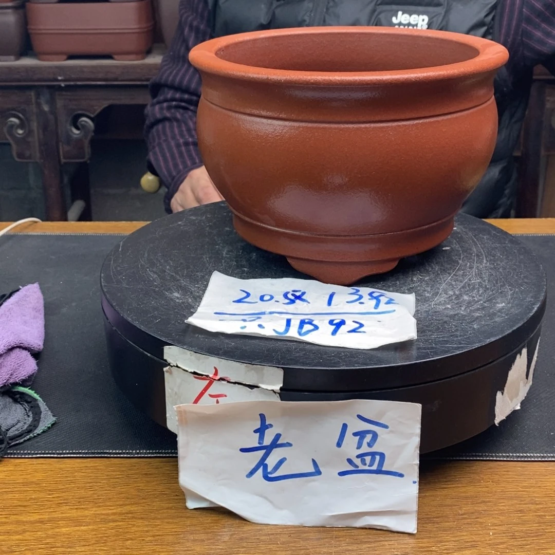 红陶货号一只JB92