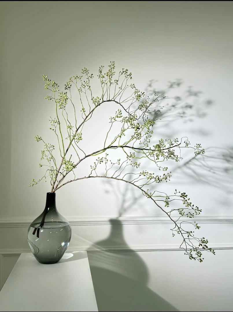 【山归来链接】云南产地直发 | 新鲜采摘