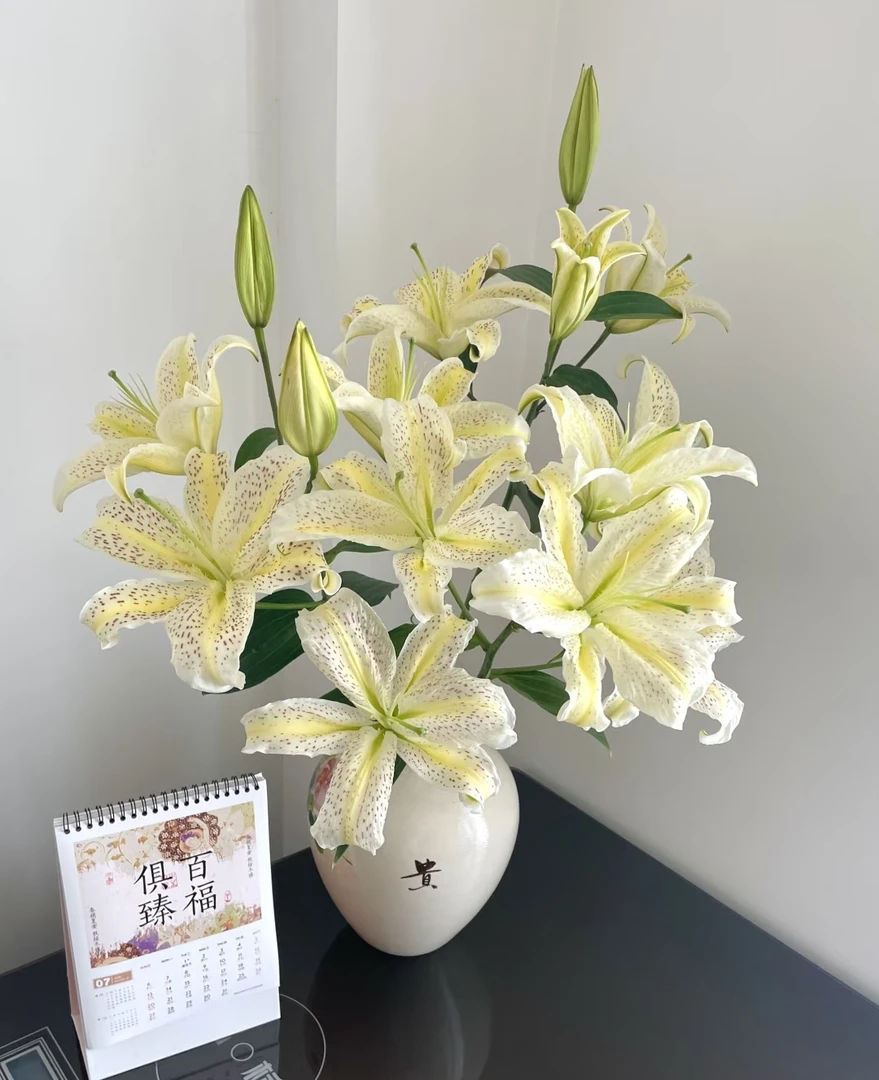 【花起点】老虎沐恩--单瓣百合