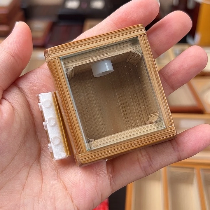 仅一天鸣虫虫具送加湿器