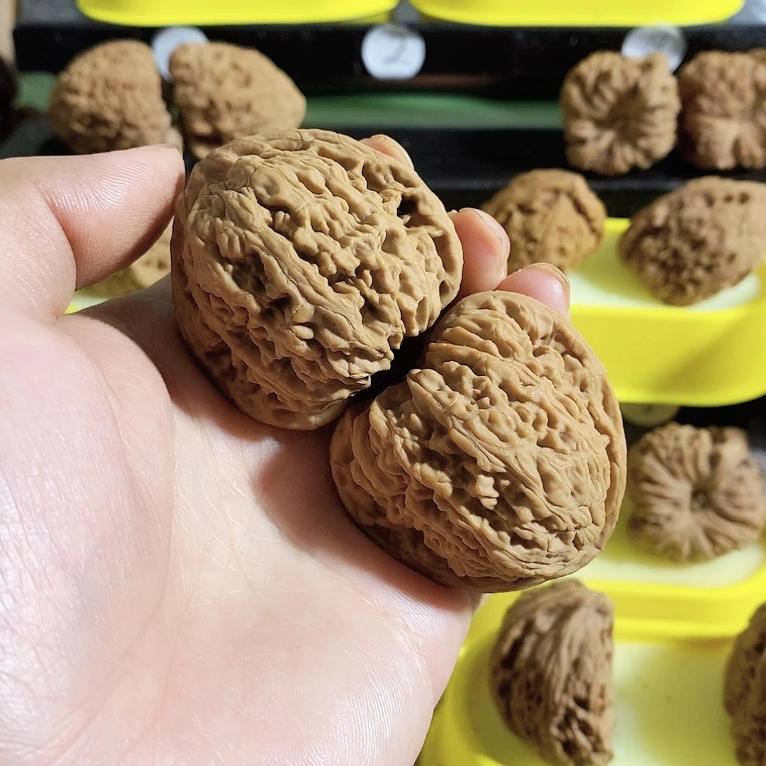 木质类今天的我是