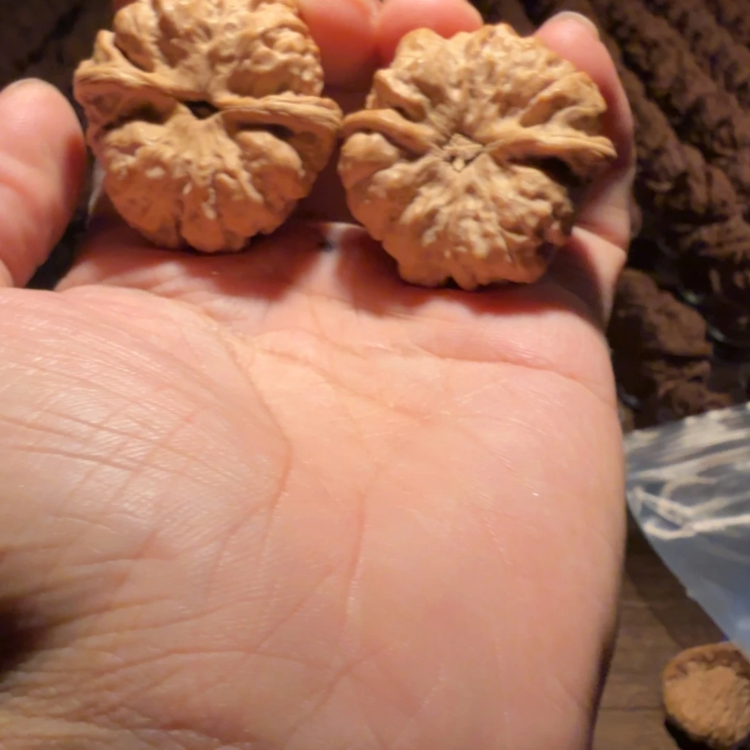 文玩核桃吊坠蛤蟆的眼睛是真的好看啊