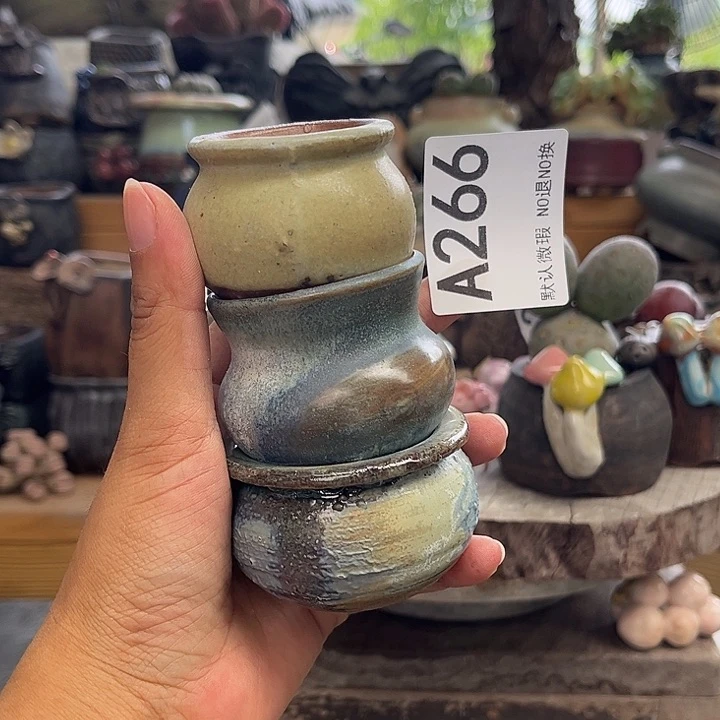 重庆小燕子欢迎大家266