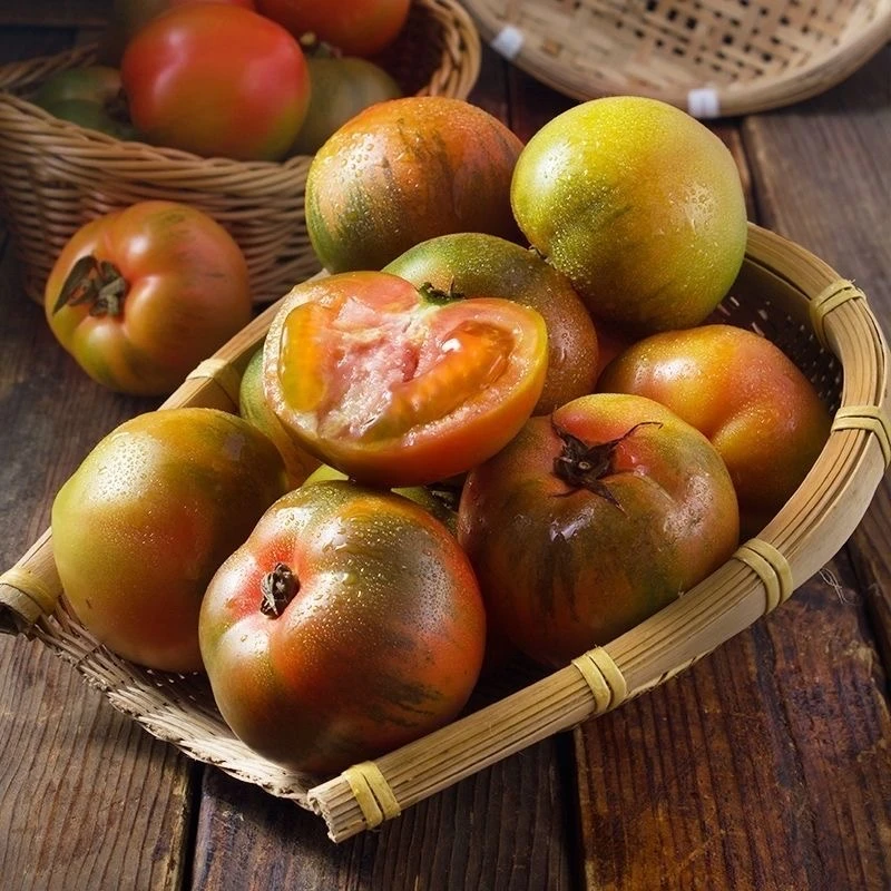 辽宁盘锦碱地铁皮柿子新鲜水果番茄产地直发