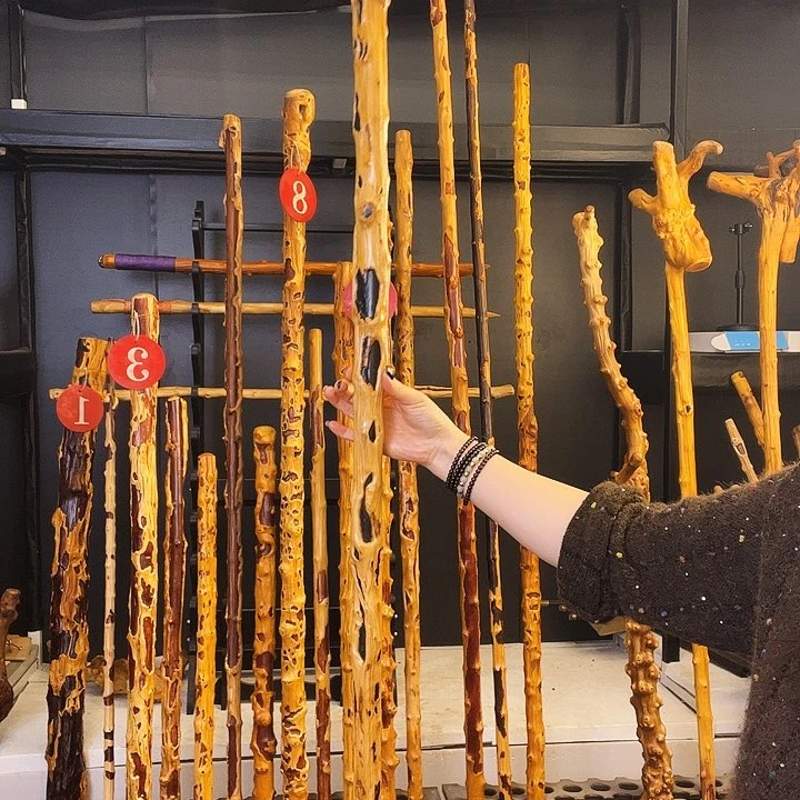 小**乐好好好好好好好好