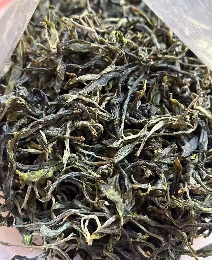 2025年马乌300古树（生）（MD0014）--七七