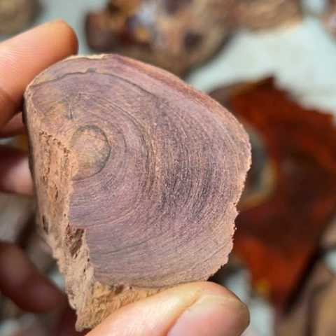 黄花梨/降香黄檀白***斧黄花梨木料